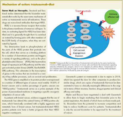 Mechanism of action